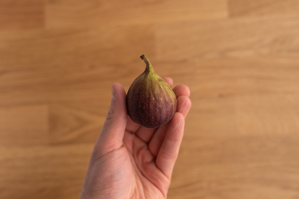 Some Benefits Of Dried Figs