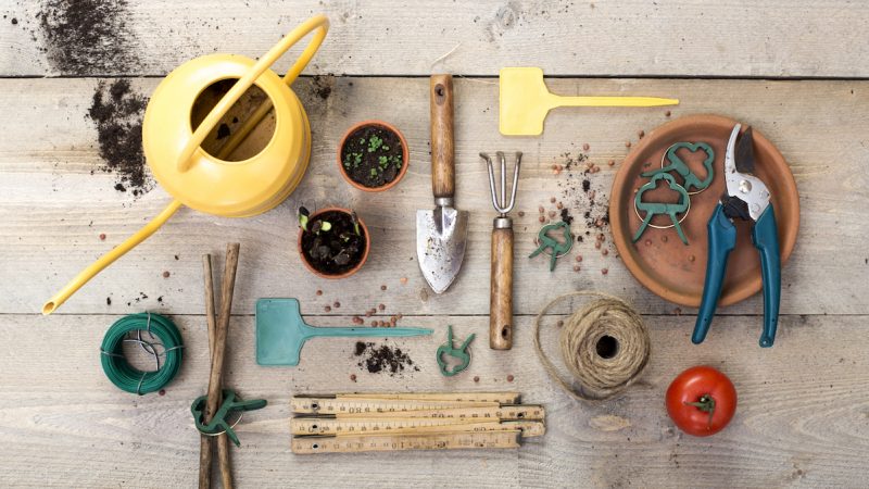 Best Gardening Tools to Invest In